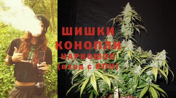 эйфоретик Баксан