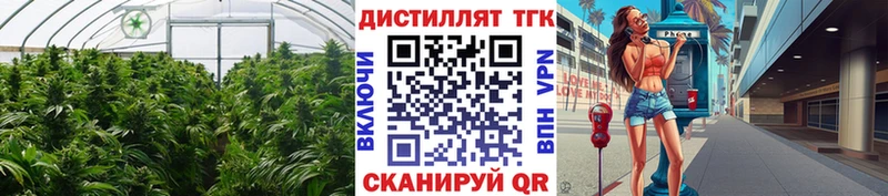 ТГК вейп с тгк дарнет шоп Крымск